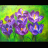 Crocus Melody - &copy; LaGasse 2004